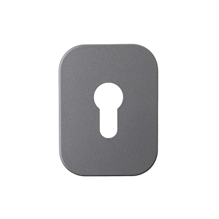 ��������, wc-���������, �������� ������������ Apecs DP-25-C-GRF, dia-lock.ru